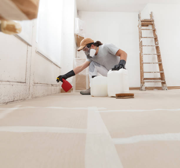 Best Real Estate Mold Inspection  in Clear Lake, SD